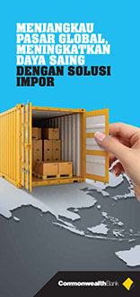 Import Solution